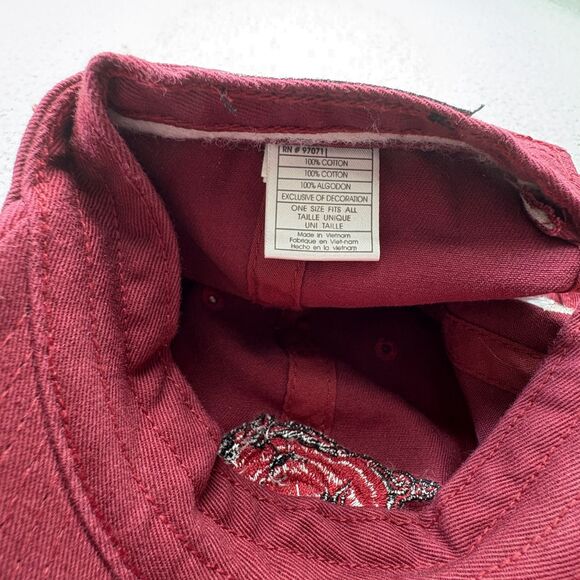 Arkansas Razorbacks Hat Cap Strap Back Mens NCAA Football‎ Top of World - Picture 7 of 8